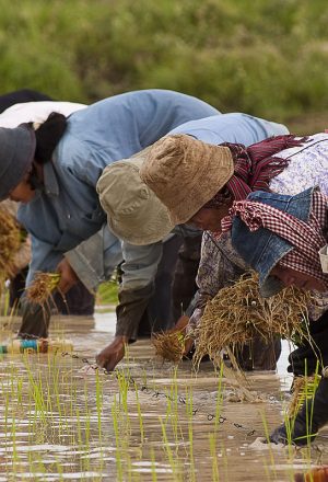 Cambodia to Vietnam Cycling Holiday 11