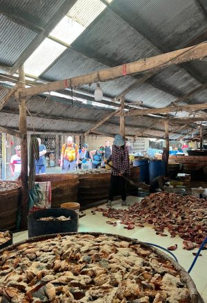 Cambodia to Vietnam Cycling Holiday 15