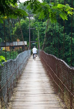 An unidentified man is crossing the bridge with a bicycle.