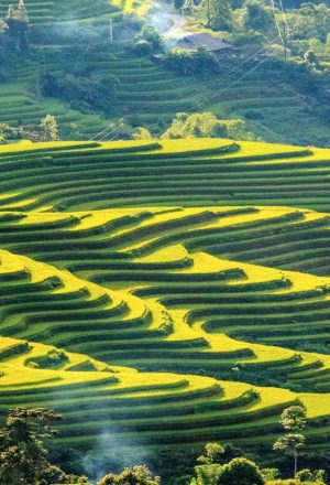 Cycling Holidays in North East Vietnam