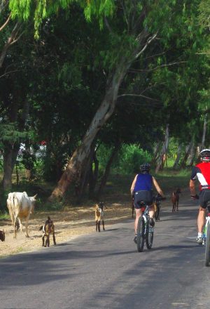 Burma – Mountains, Beaches & Stupas