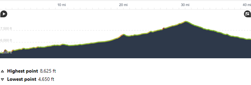 Morocco Day 9: Todra Gorge to Msemrir