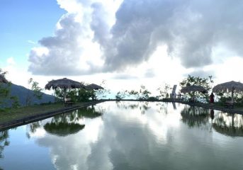 Tinh Tuc - organic farm