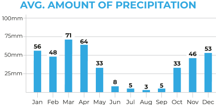 Uzbekistan Average Precipitation Chart