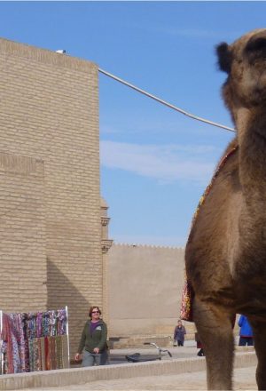 Nosey Camel during our Cycling Tour of Uzbekistan