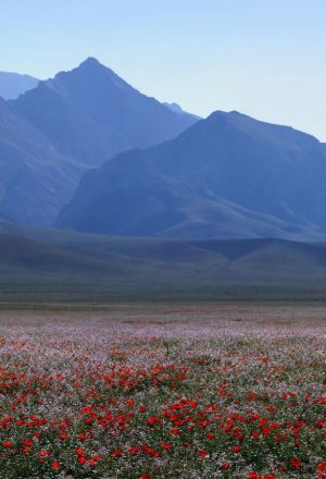 Uzbekistan Cycling Holiday