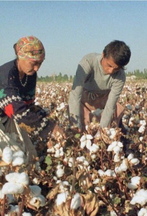 Uzbekistan Cycling Holiday