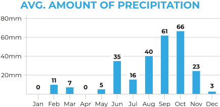 Vietnam N.E. Average Precipitation Chart
