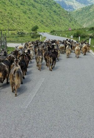 Albania North to South Cycling Adventure Holiday 18