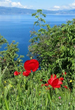 Albania Classic Cycling Holiday 11