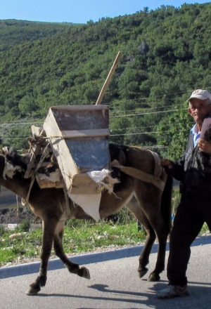 Albania Classic Cycling Holiday 20