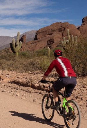 Argentina - Andes to Salt Flats Cycling Holiday 14