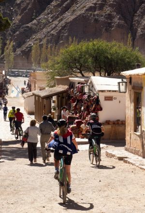 Argentina - Andes to Salt Flats Cycling Holiday 17