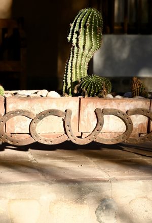 Argentina - Andes to Salt Flats Cycling Holiday 34