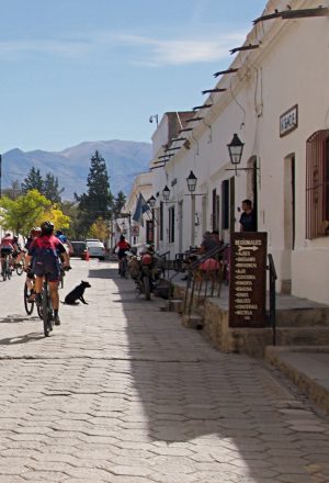 Argentina - Andes to Salt Flats Cycling Holiday 39