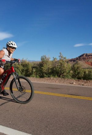 Argentina - Andes to Salt Flats Cycling Holiday 45