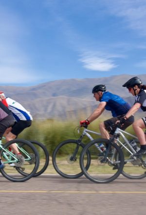 Argentina - Andes to Salt Flats Cycling Holiday 47