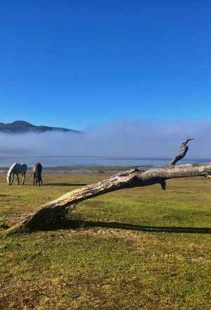 Argentina - Andes to Salt Flats Cycling Holiday 7