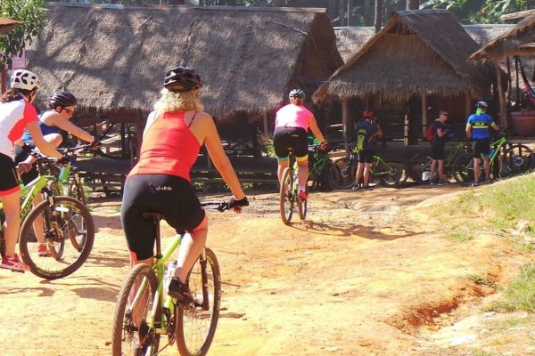 Moderate Tours