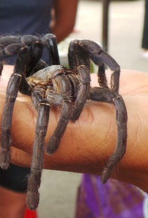 Cambodia Cycling Holiday 17