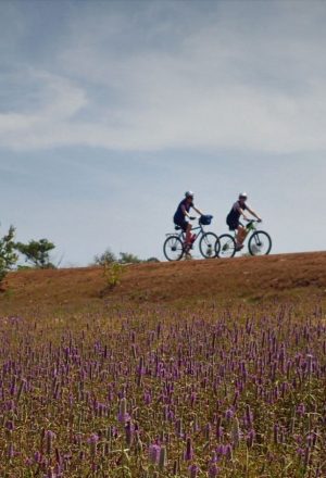 Cambodia Cycling Holiday 33