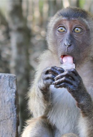 Cambodia Cycling Holiday 41