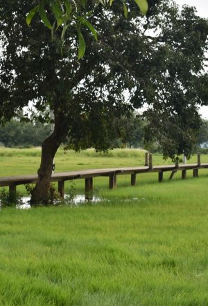 Cambodia Cycling Holiday 44