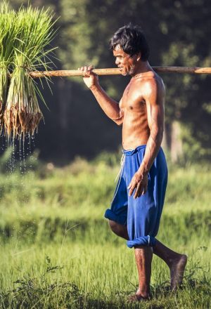 Cambodia Cycling Holiday 48