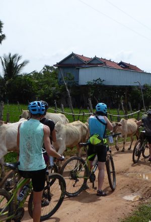 Cambodia Cycling Holiday 51
