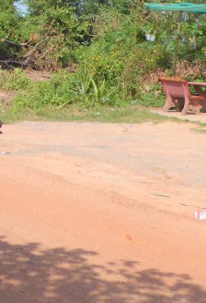 Cambodia Cycling Holiday 53