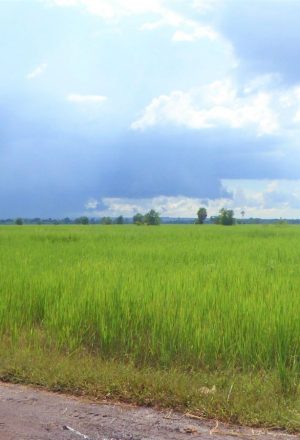 Cambodia Cycling Holiday 65