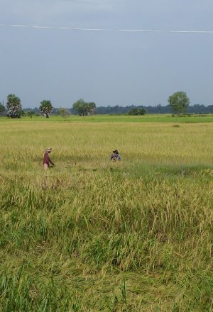 Cambodia Cycling Holiday 71