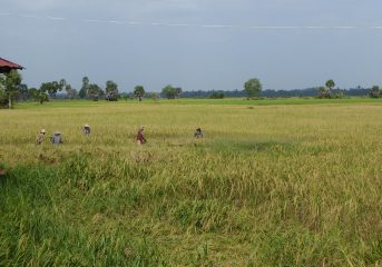 Cambodia Cycling Holiday 71