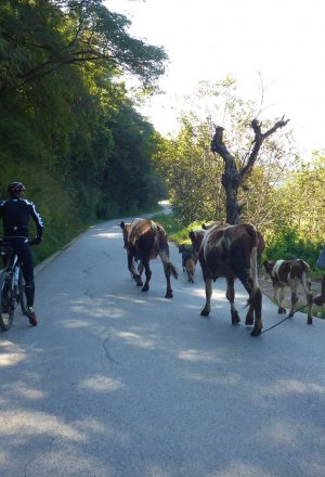 China Yunnan Cycling Holiday 4