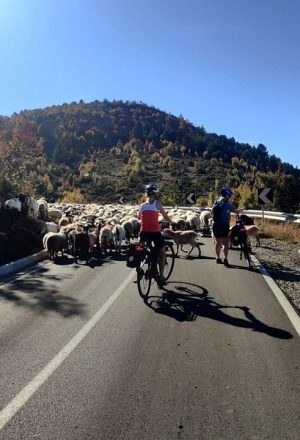 Cycling Tours in Albania