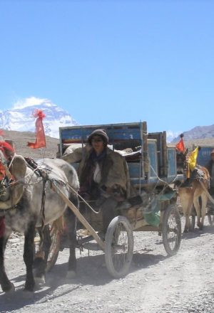 Lhasa to Kathmandu Cycling Holiday 19