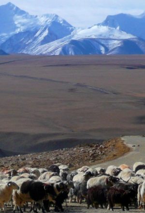 Lhasa to Kathmandu Cycling Holiday 48