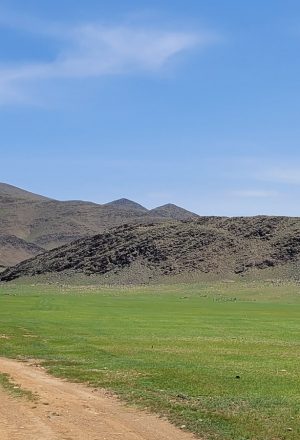 Mongolia Bulgan Cycling Holiday 4