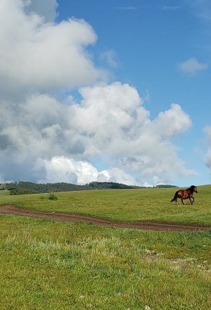 Mongolia Bulgan Cycling Holiday 34