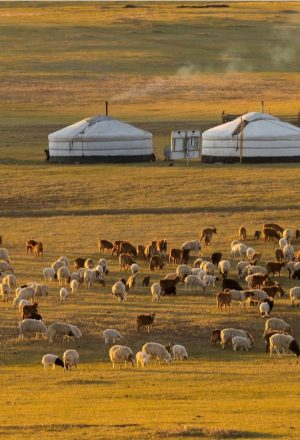 Mongolia Bulgan Cycling Holiday 5