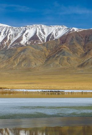 Mongolia Gobi Cycling Holiday 16