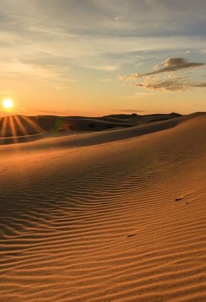 Mongolia Gobi Cycling Holiday 18