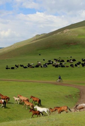 Mongolia Gobi Cycling Holiday 7