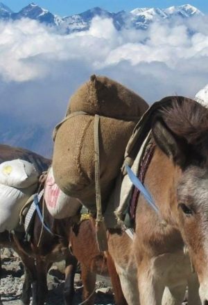 Nepal Cycling Holiday 24