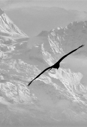 Nepal Cycling Holiday 28