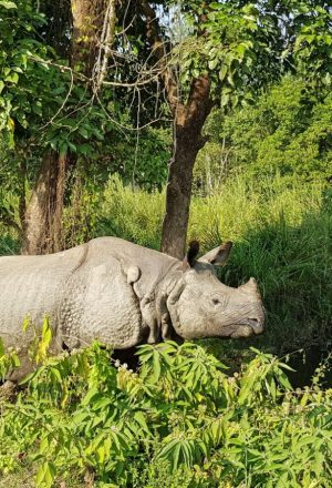Nepal Cycling Holiday 7