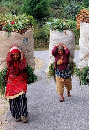 Nepal Cycling Holiday 8