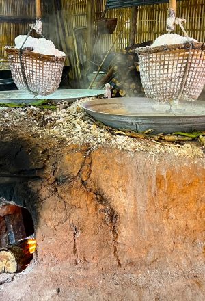 North Thailand Cycling Holiday 19