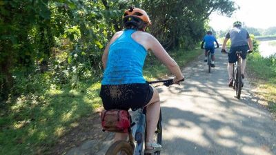 4 star review from Susan Redfern, Rochdale, England, UK