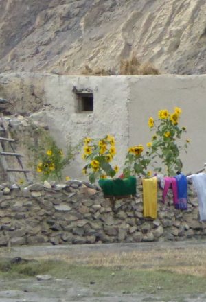 Pakistan - The Old Silk Route Cycling Holiday 10